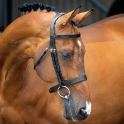 Clearance SHIRES EQUESTRIAN Velociti Lusso Hunter Caveson Bridle Havana