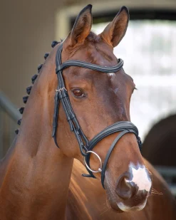 Clearance SHIRES EQUESTRIAN Velociti Lusso Padded Raised Flash Bridle