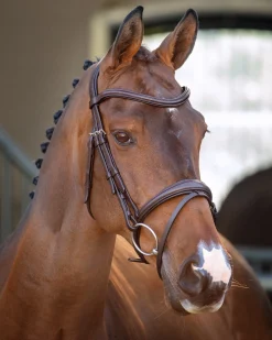 Clearance SHIRES EQUESTRIAN Velociti Lusso Padded Raised Flash Bridle