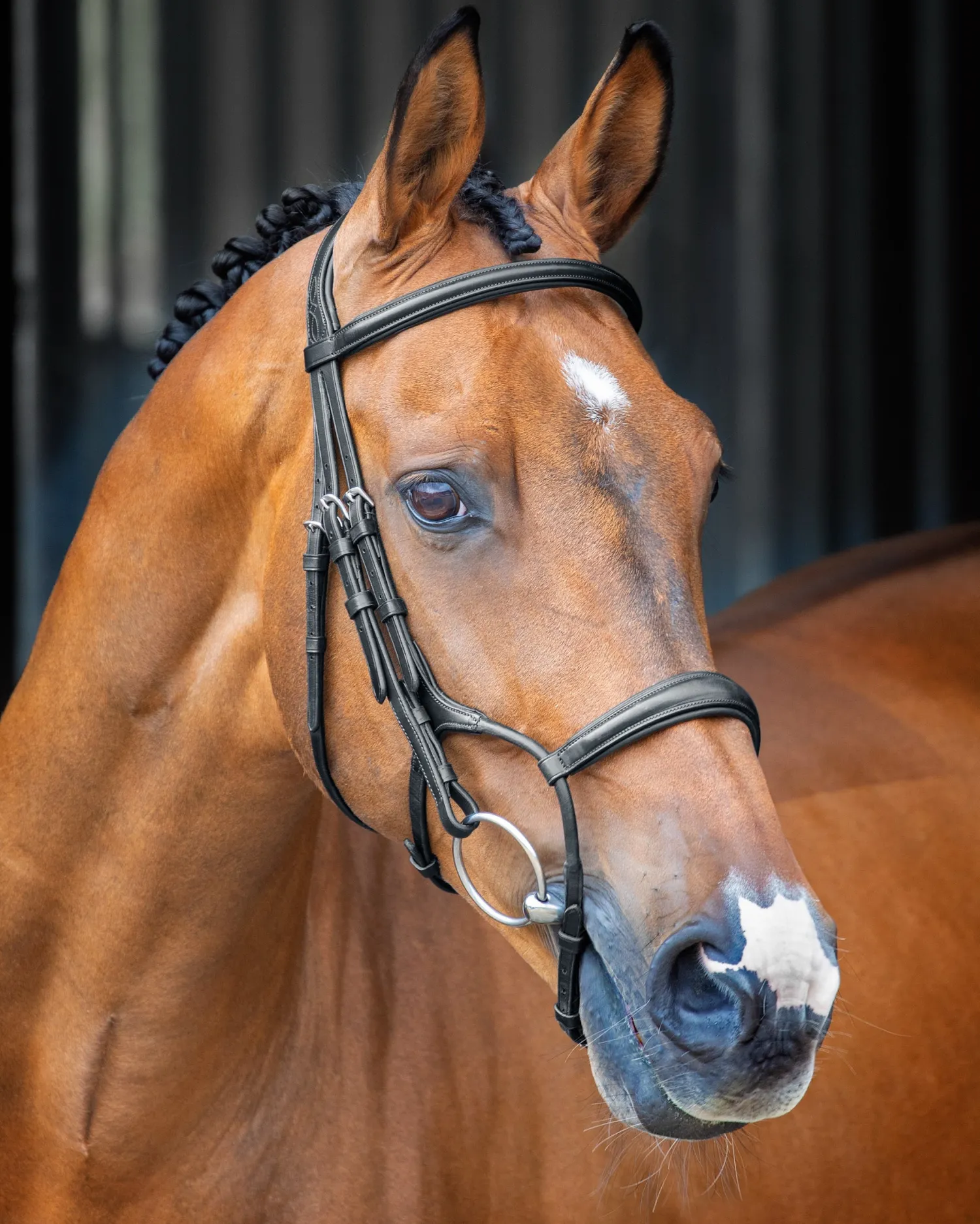 New SHIRES EQUESTRIAN Velociti Lusso Rolled Padded Caveson Bridle