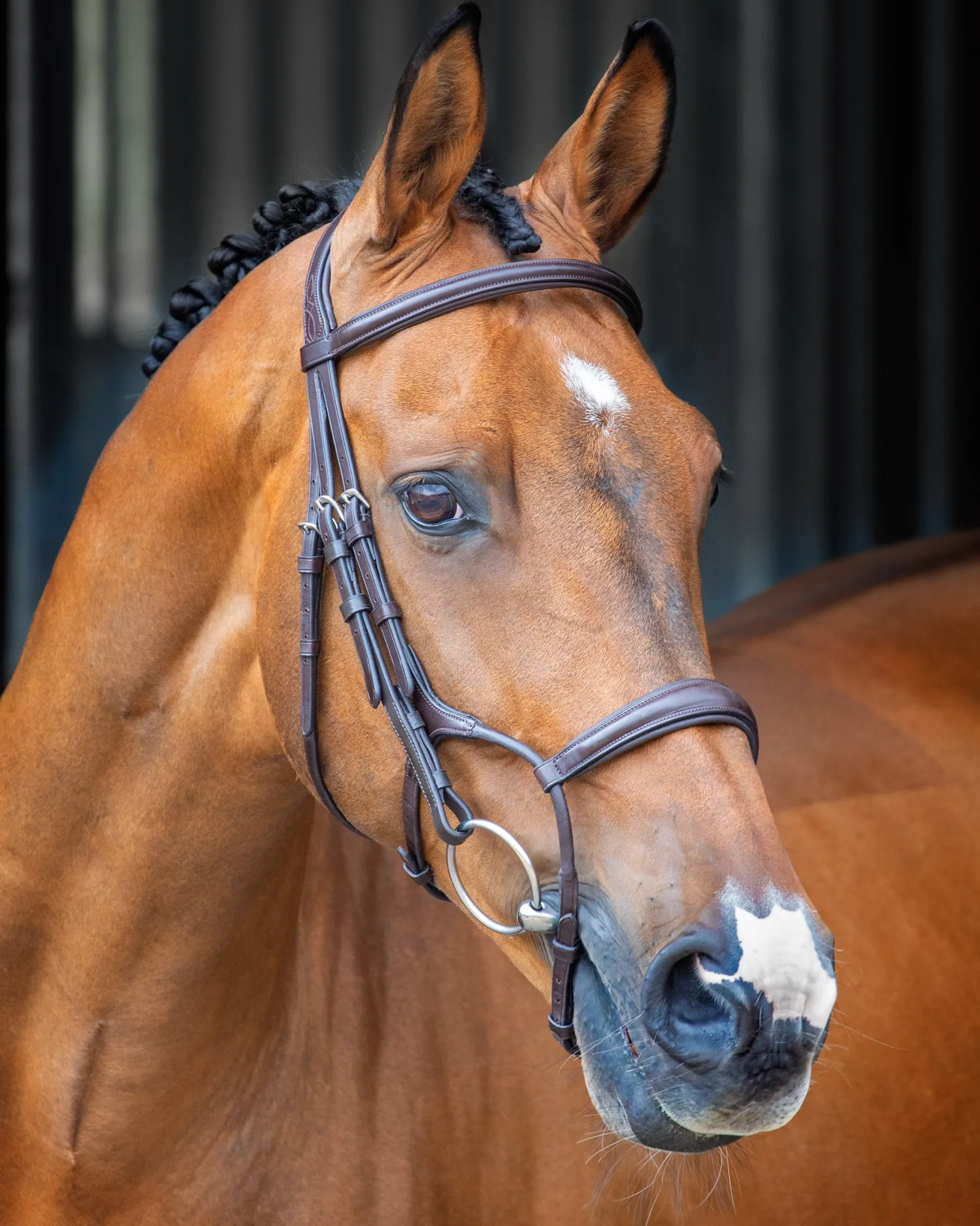 New SHIRES EQUESTRIAN Velociti Lusso Rolled Padded Caveson Bridle