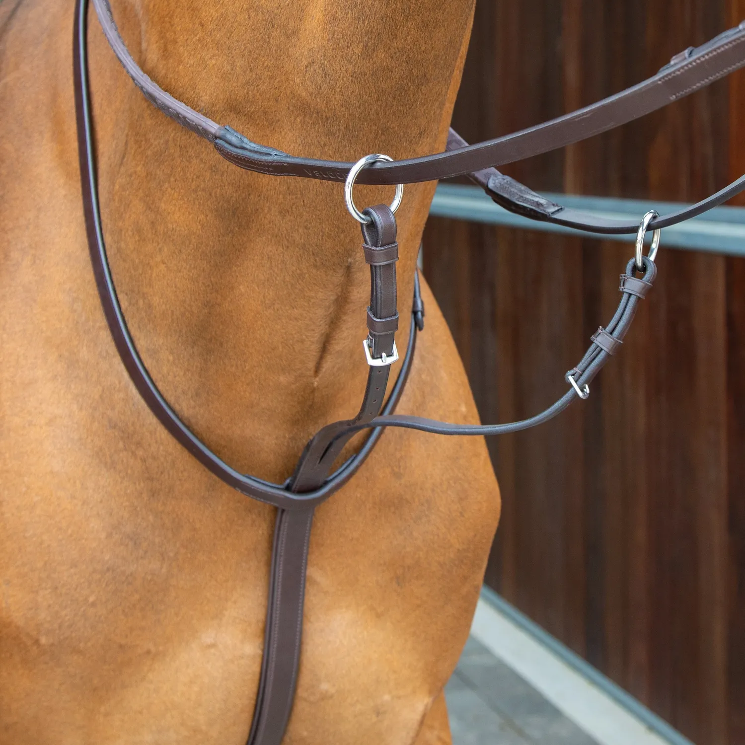 Discount SHIRES EQUESTRIAN Velociti Lusso Running Martingale