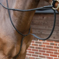 Online SHIRES EQUESTRIAN Velociti Lusso Standing Martingale