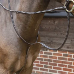 Online SHIRES EQUESTRIAN Velociti Lusso Standing Martingale