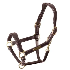 Clearance SHIRES EQUESTRIAN Velociti Rapida Cushioned Leather Halter