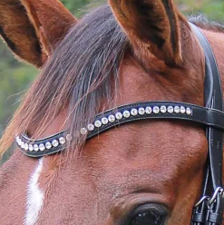 New WORLD EQUSTRN BRNDS Veritas by Vespucci Contoured Browband with Swarovski® Crystals Black