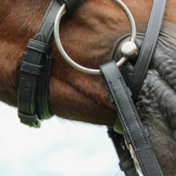 Hot WORLD EQUSTRN BRNDS Vespucci Classic Dressage Bridle Black