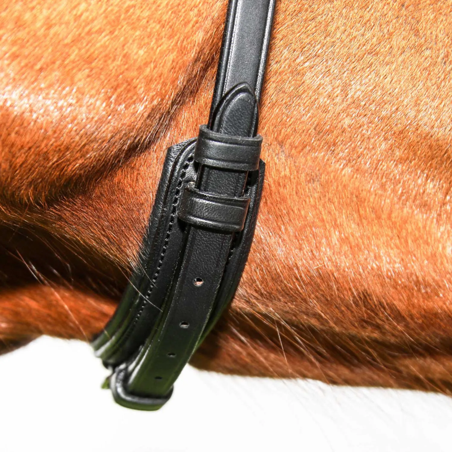 Hot WORLD EQUSTRN BRNDS Vespucci Classic Dressage Bridle Black