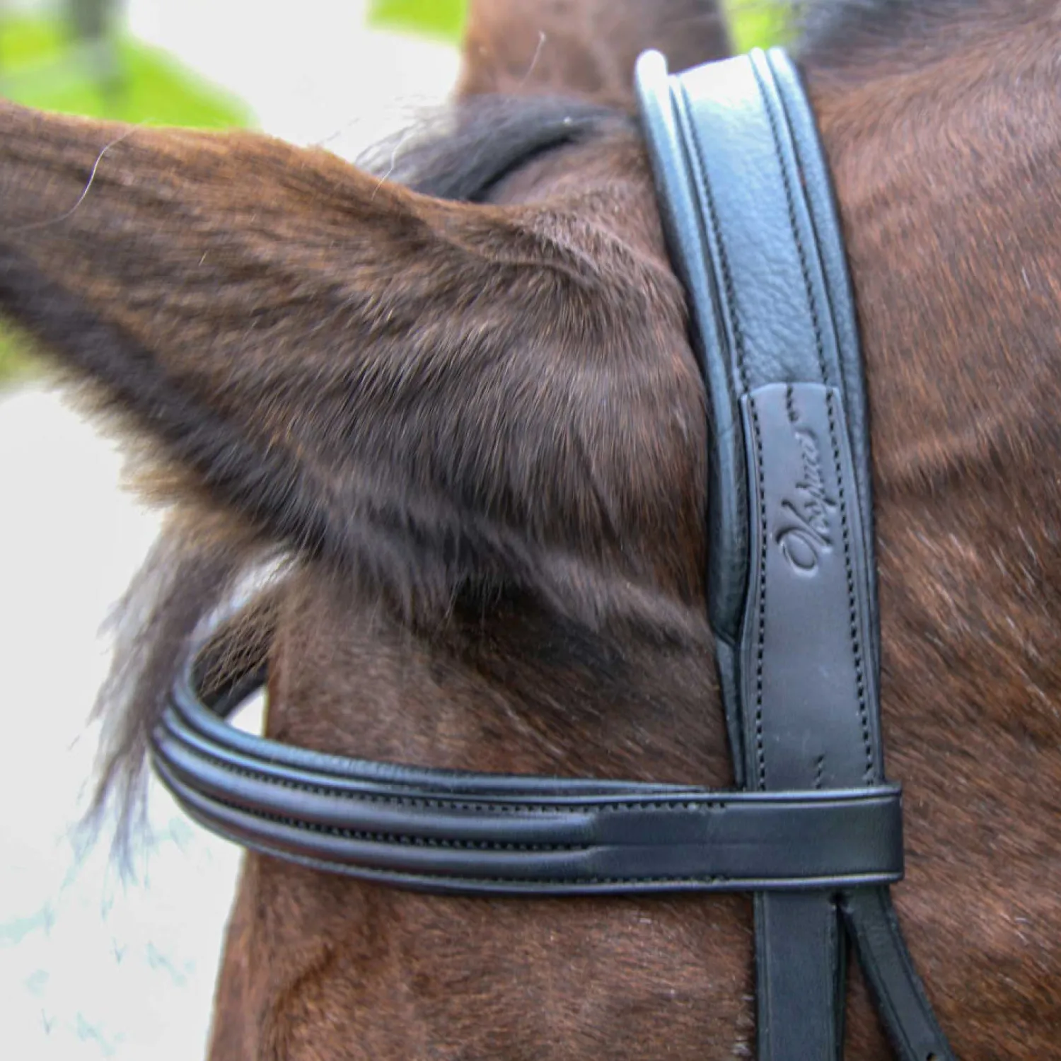 Hot WORLD EQUSTRN BRNDS Vespucci Classic Dressage Bridle Black