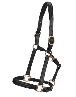 Best WORLD EQUSTRN BRNDS Vespucci Double Raised Halter Black