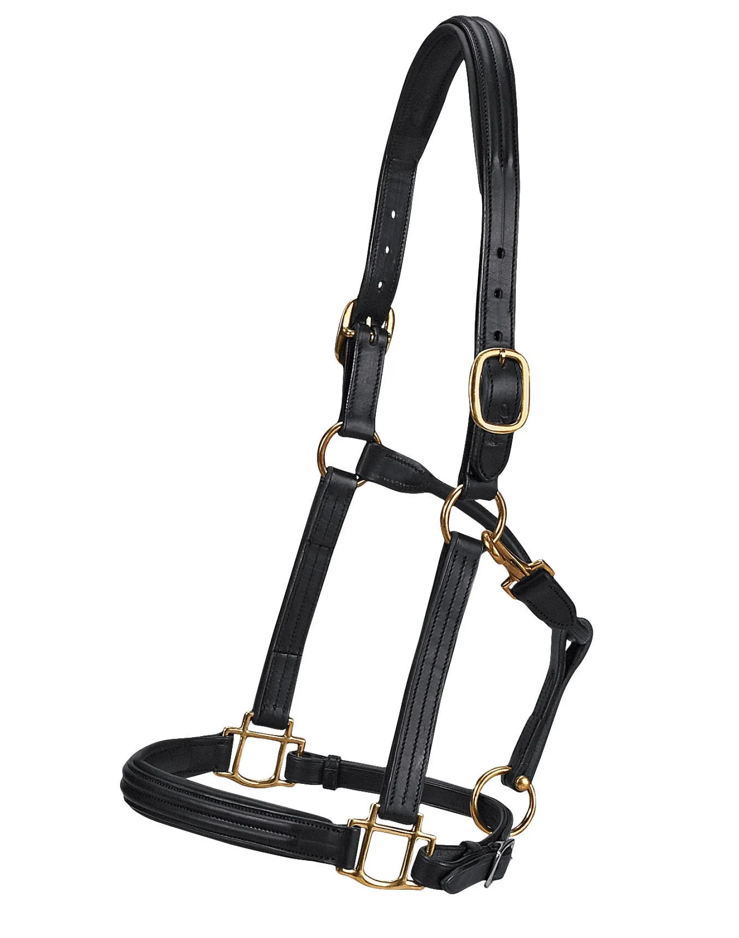 Best WORLD EQUSTRN BRNDS Vespucci Double Raised Halter Black