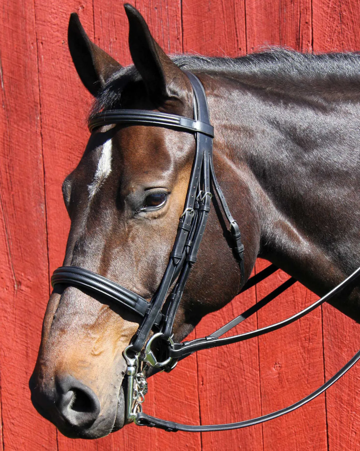 WORLD EQUSTRN BRNDS Vespucci Dressage Double Raised Weymouth Bridle Black
