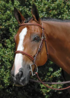 WORLD EQUSTRN BRNDS Vespucci Fancy Raised Hunter Bridle
