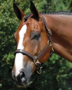 WORLD EQUSTRN BRNDS Vespucci Fancy Stitched Halter Brown