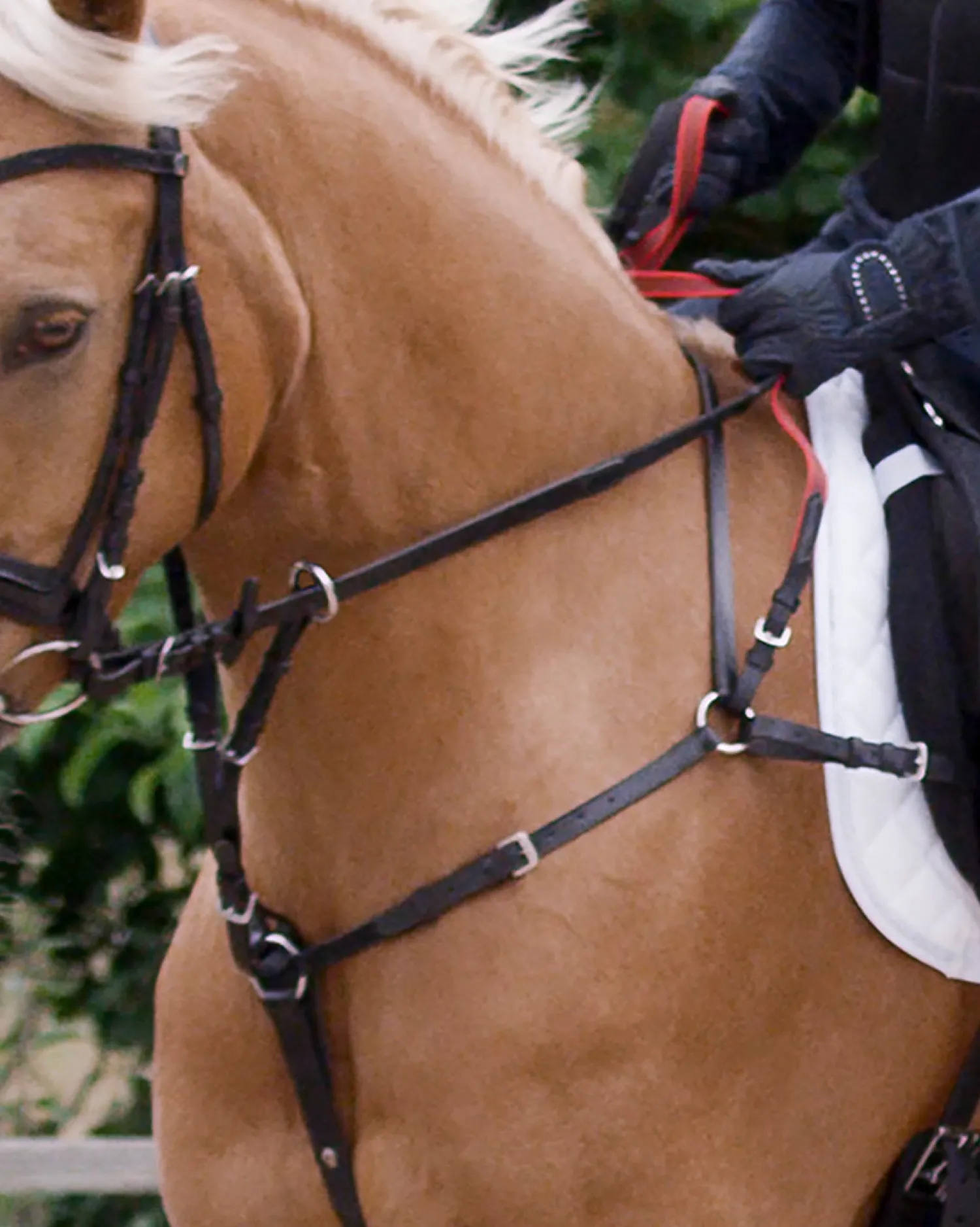 New WALDHAUSEN Secutrust Breastplate with Safety Reins