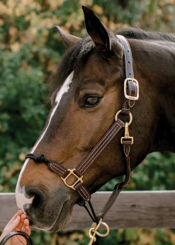 Clearance WALSH PRODUCTS Walsh™ Rope Nose British Halter Brown