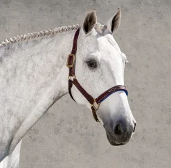 WALSH PRODUCTS Walsh™ Signature Padded Halter