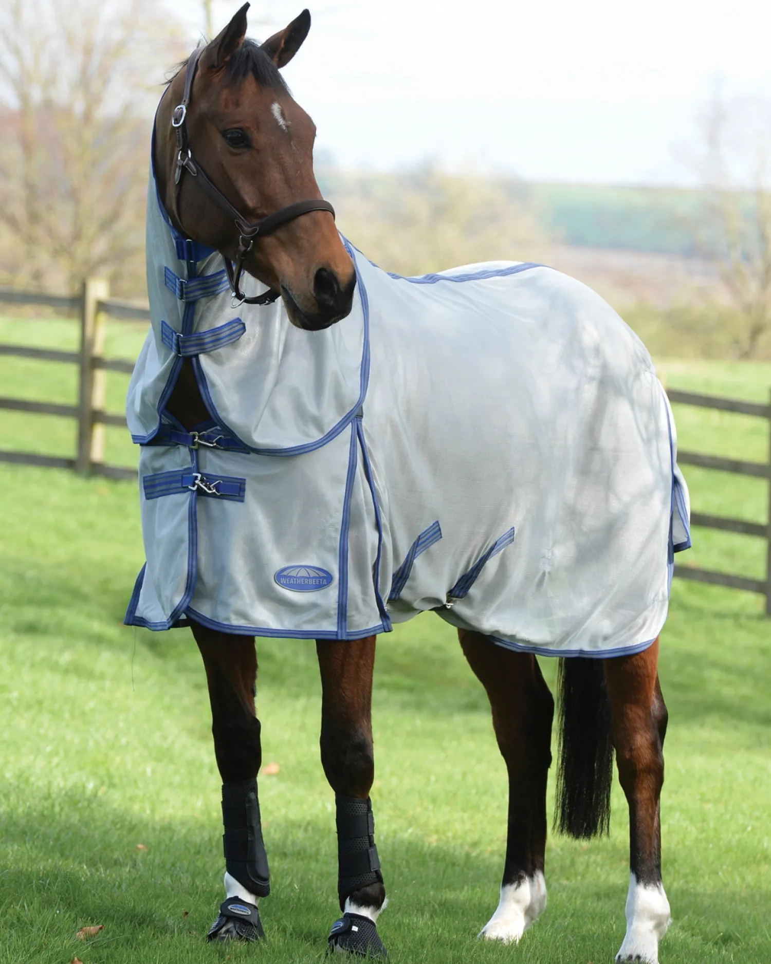 Clearance WEATHERBEETA ® ComFiTec™ Airflow II Detach-A-Neck Fly Sheet