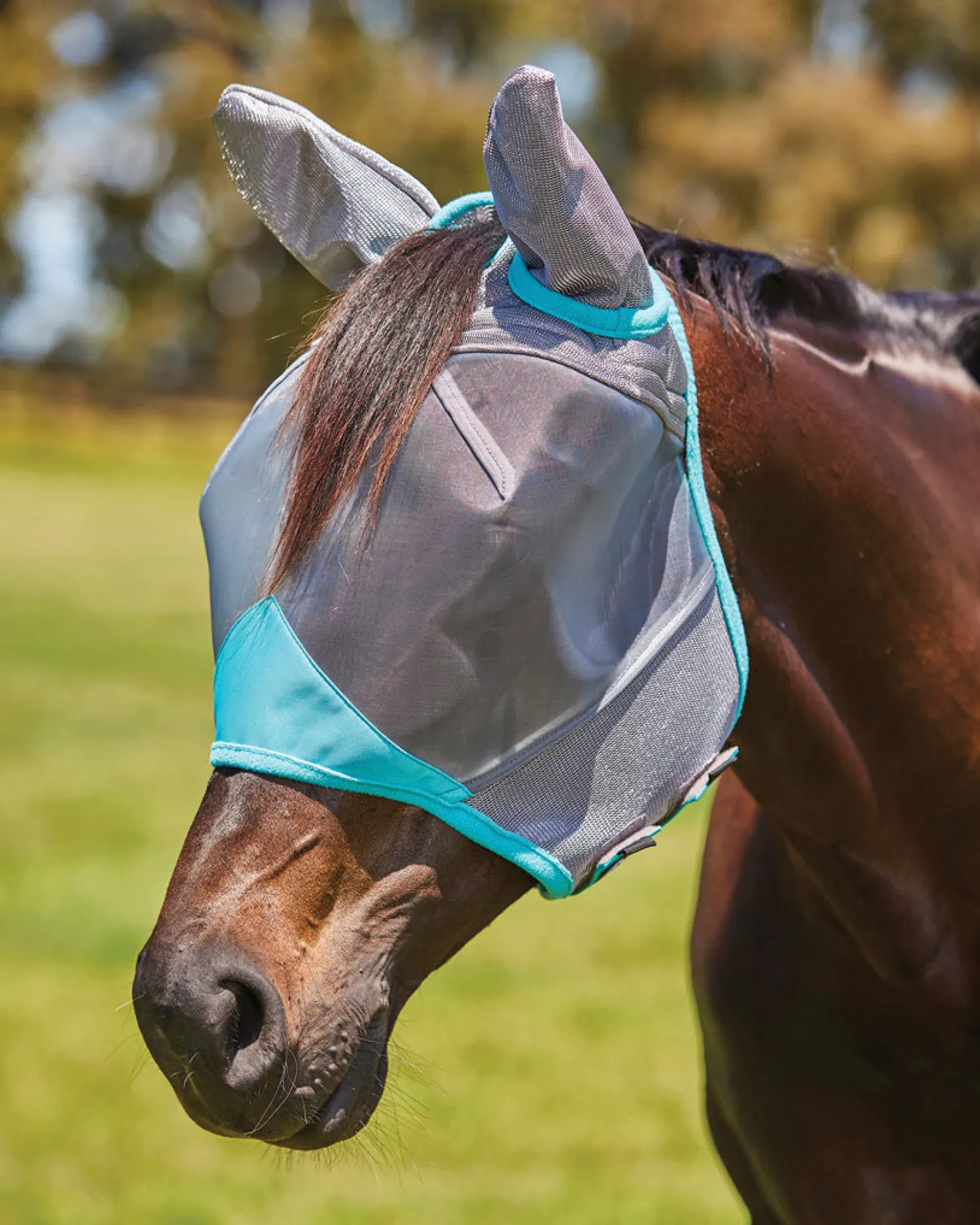 New WEATHERBEETA ® ComFiTec™ Deluxe Fine Mesh Fly Mask with Ears