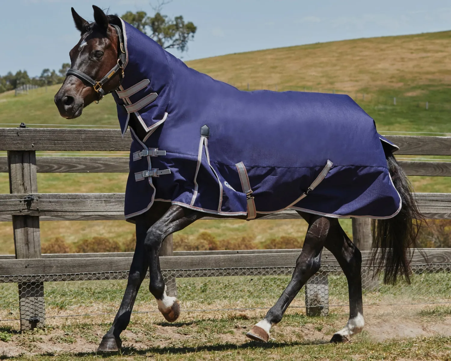 New WEATHERBEETA ® ComFiTec™ Essential Combo Neck Medium-Weight Turnout Blanket Navy/Silver/Red