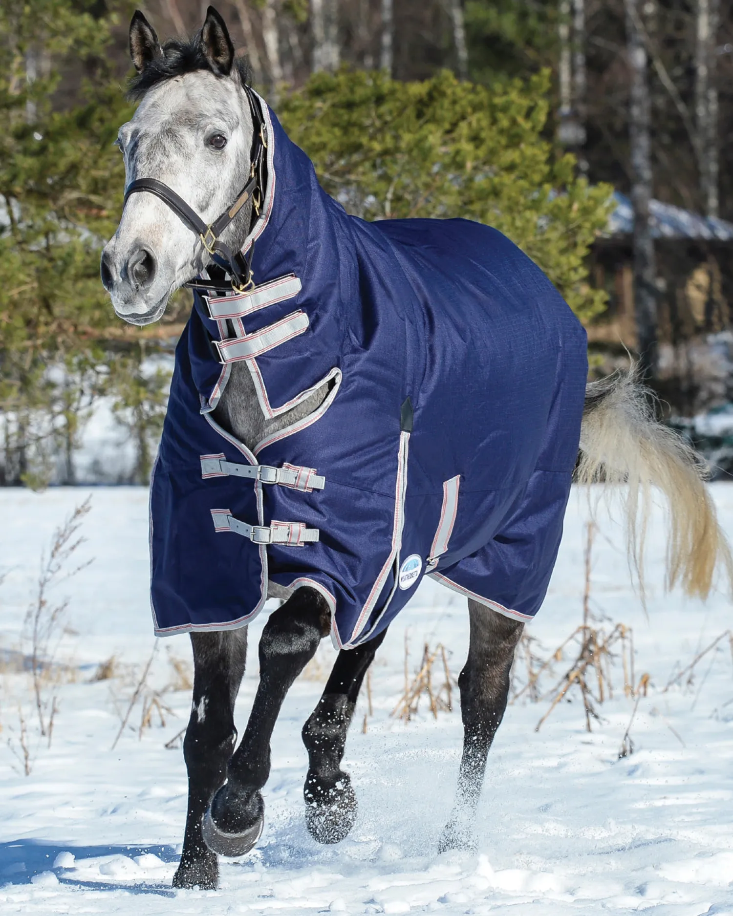 New WEATHERBEETA ® ComFiTec™ Essential Combo Neck Medium-Weight Turnout Blanket Navy/Silver/Red