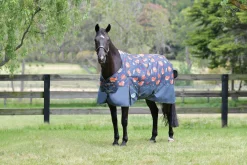 Online WEATHERBEETA ® ComFiTec™ Essential Standard Neck Medium-Weight Turnout Blanket