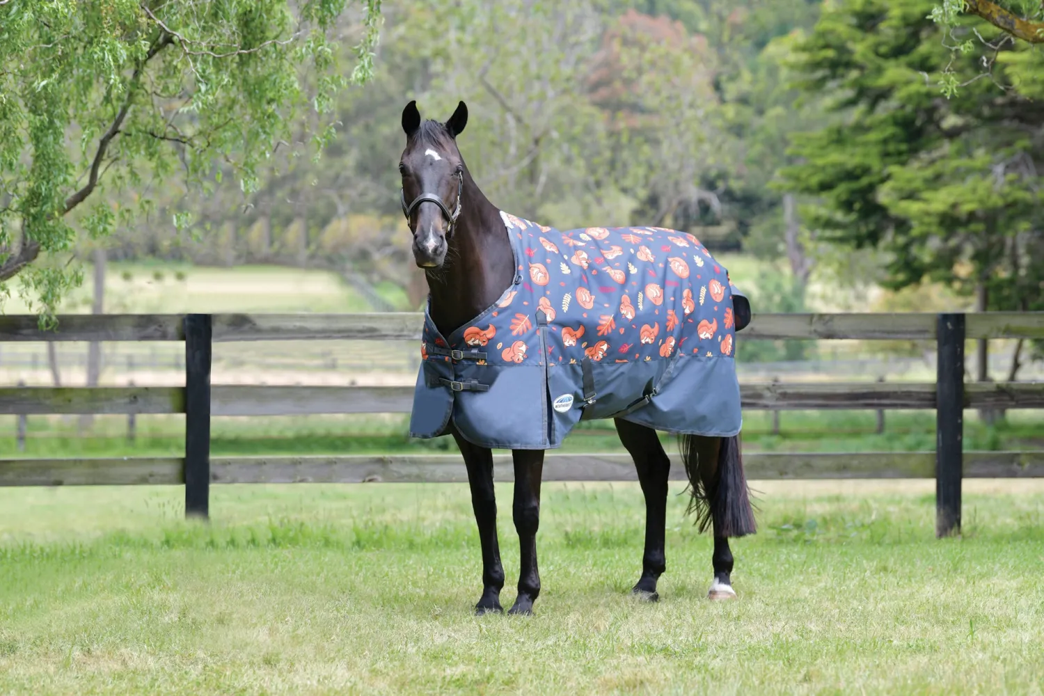 Online WEATHERBEETA ® ComFiTec™ Essential Standard Neck Medium-Weight Turnout Blanket