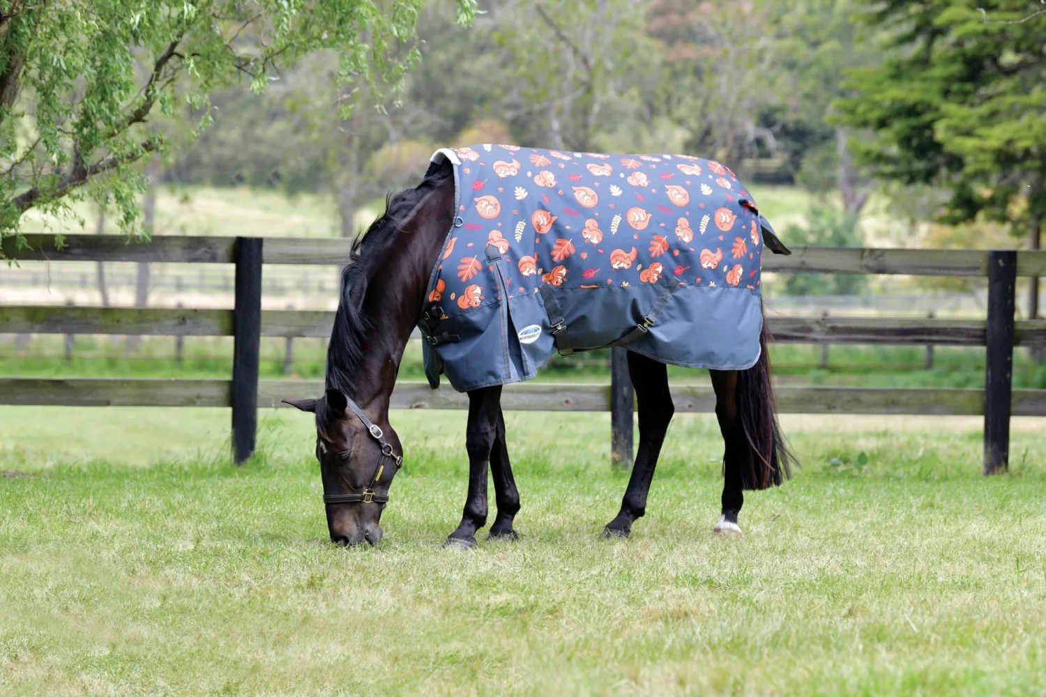 Online WEATHERBEETA ® ComFiTec™ Essential Standard Neck Medium-Weight Turnout Blanket