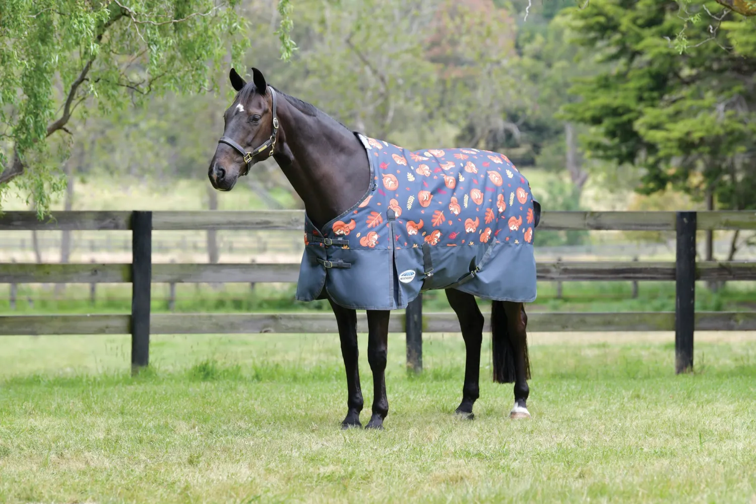 Online WEATHERBEETA ® ComFiTec™ Essential Standard Neck Medium-Weight Turnout Blanket