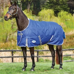 Sale WEATHERBEETA ® ComFiTec™ Free Standard Neck Medium Weight Turnout Blanket
