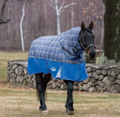 Sale WEATHERBEETA ® ComFiTec™ Free Standard Neck Medium Weight Turnout Blanket