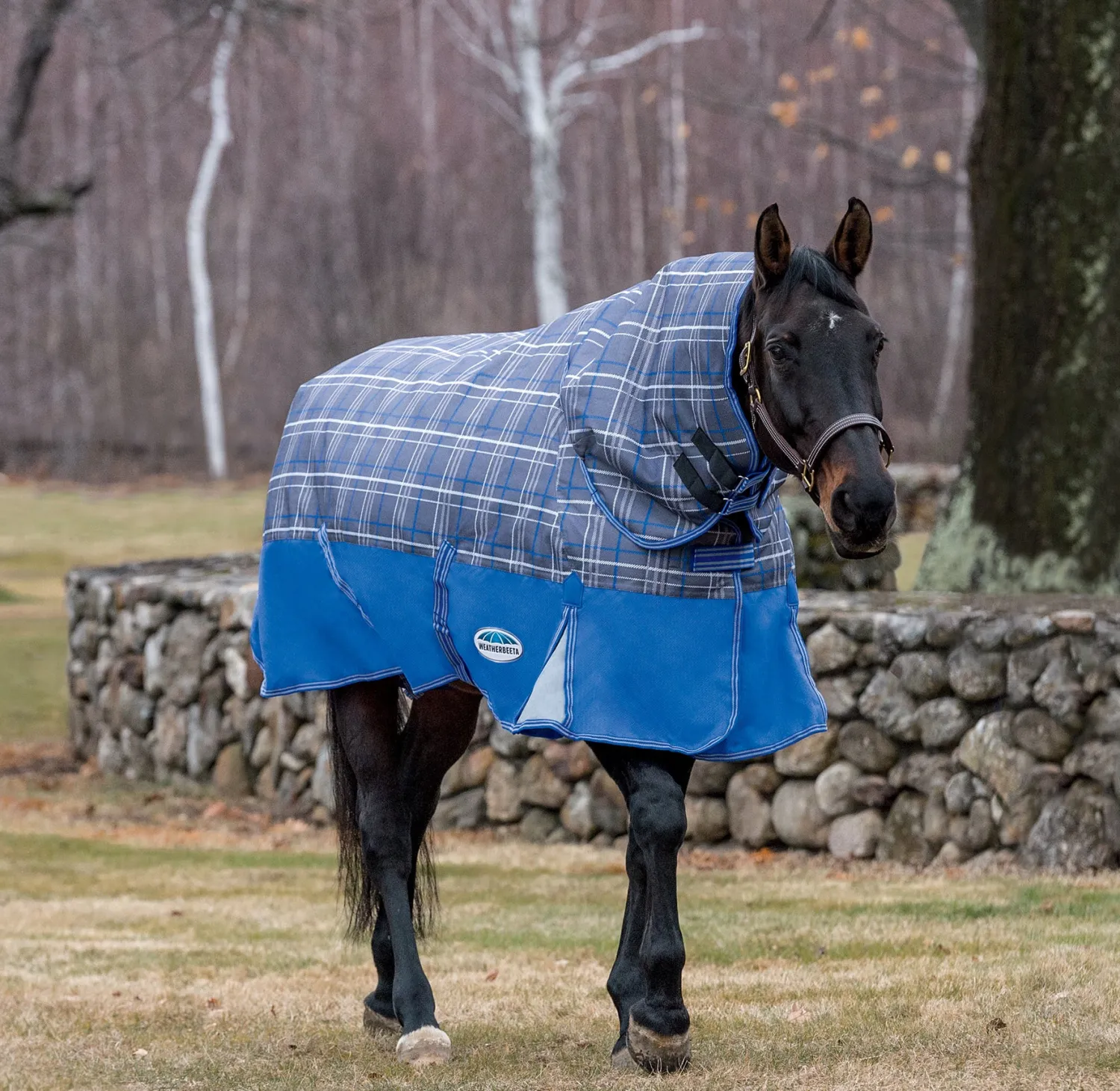 Sale WEATHERBEETA ® ComFiTec™ Free Standard Neck Medium Weight Turnout Blanket