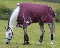 Online WEATHERBEETA ® ComFiTec™ Plus Dynamic II Standard Neck Medium-Weight Turnout Blanket Maroon/Grey/White