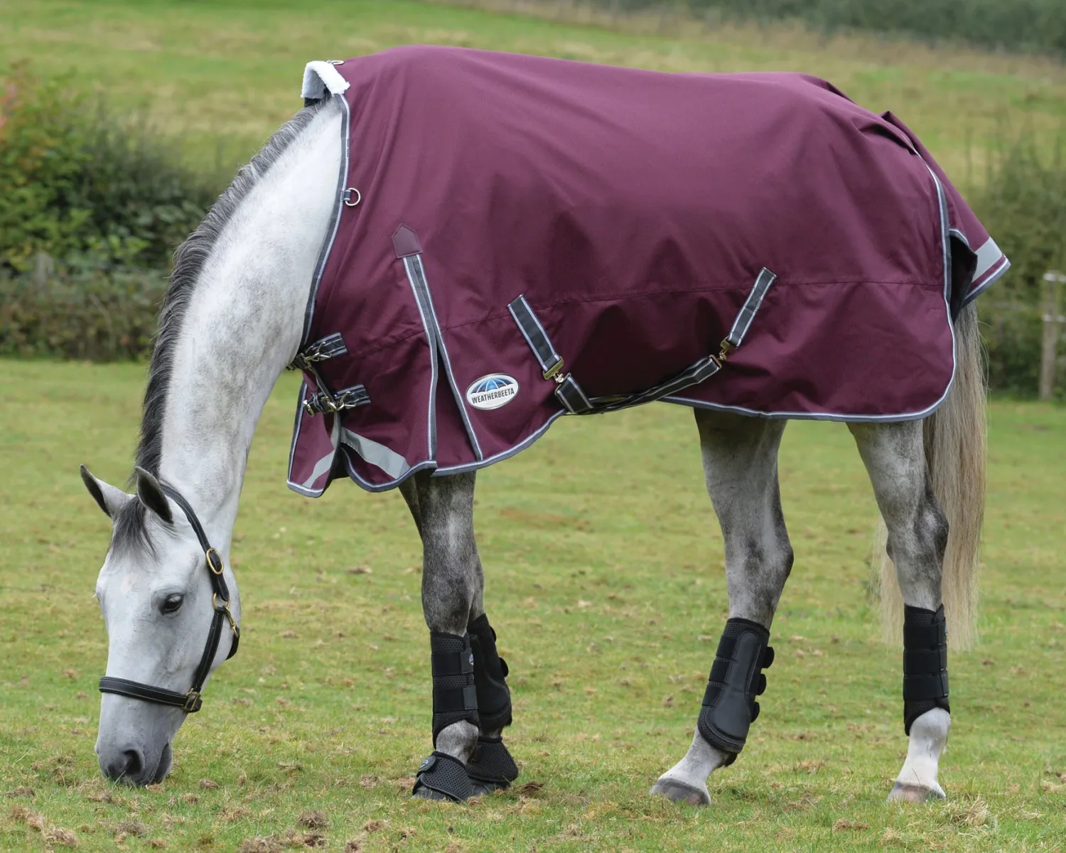 Online WEATHERBEETA ® ComFiTec™ Plus Dynamic II Standard Neck Medium-Weight Turnout Blanket Maroon/Grey/White