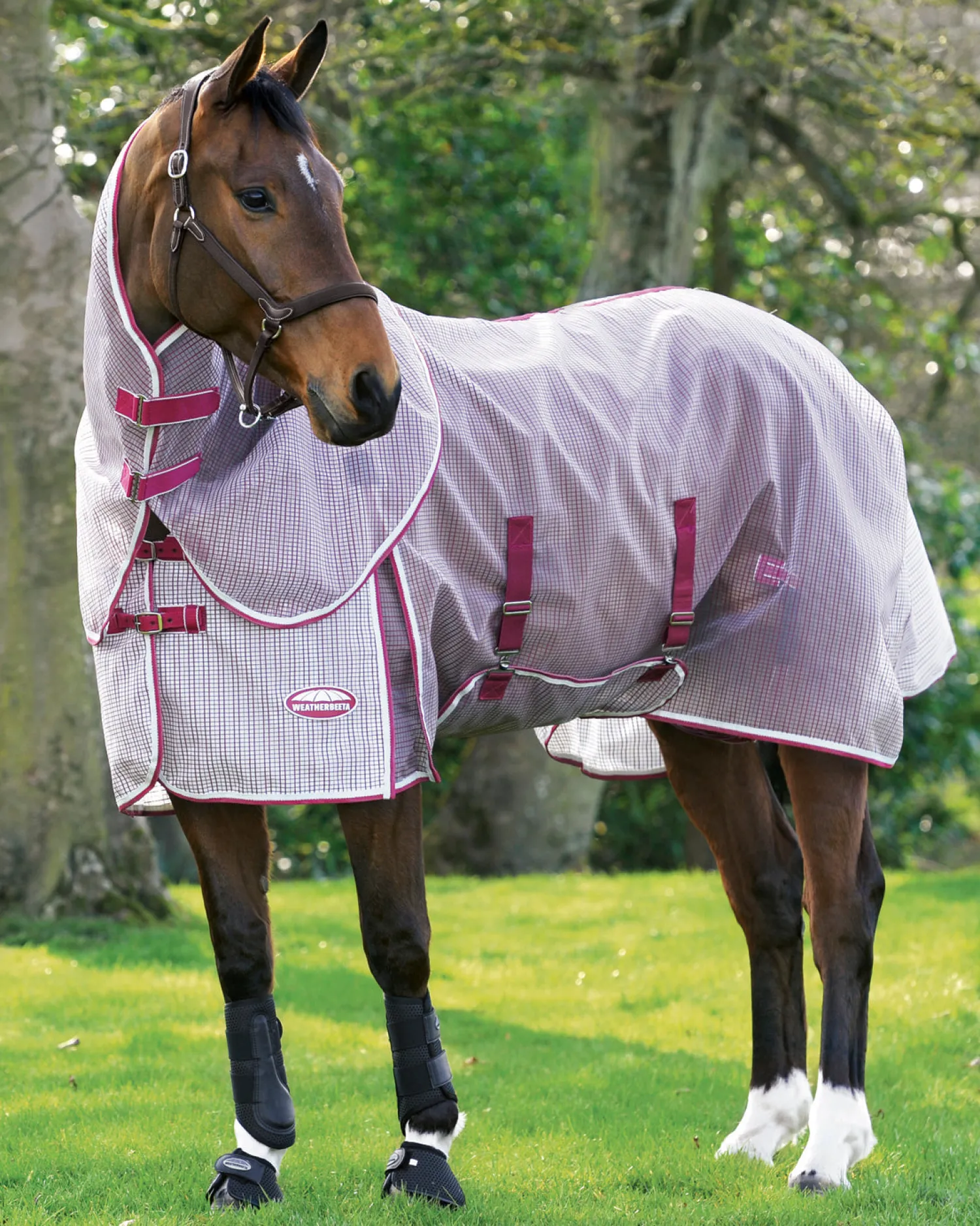 Outlet WEATHERBEETA ® ComFiTec™ Ripshield Detach-A-Neck Fly Sheet