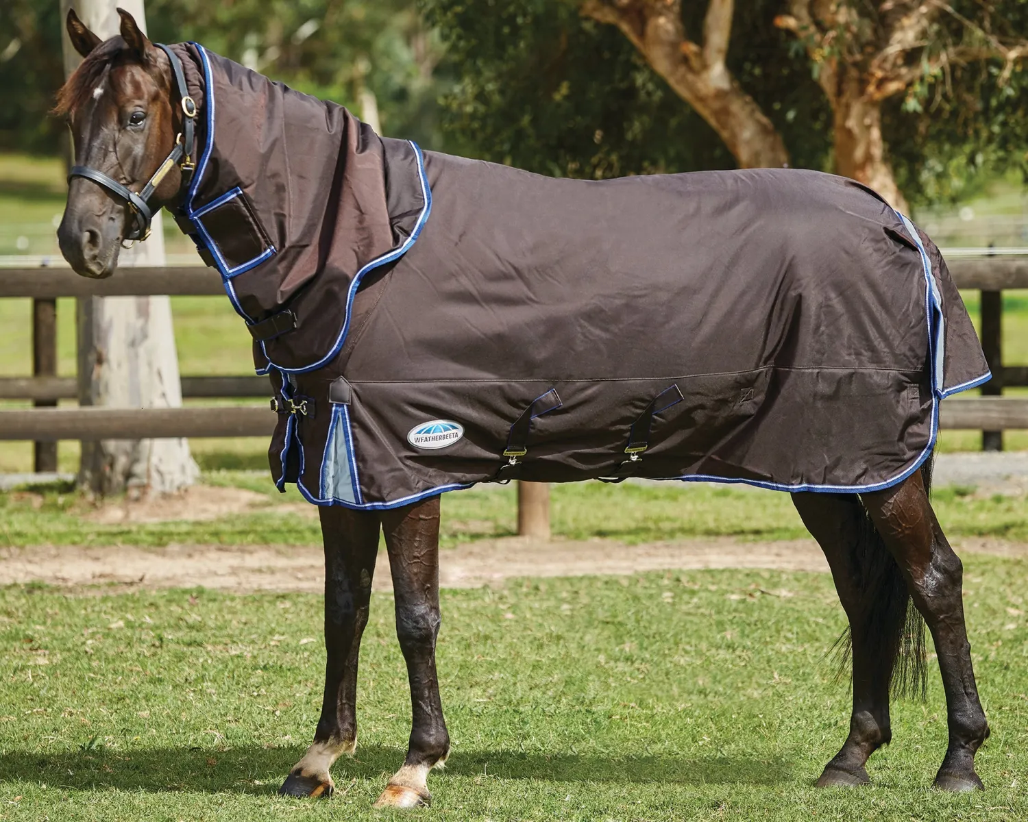 Best WEATHERBEETA ® ComFiTec™ Ultra Cozi II Detach-A-Neck Medium-Weight Turnout Blanket Charcoal/Blue/White