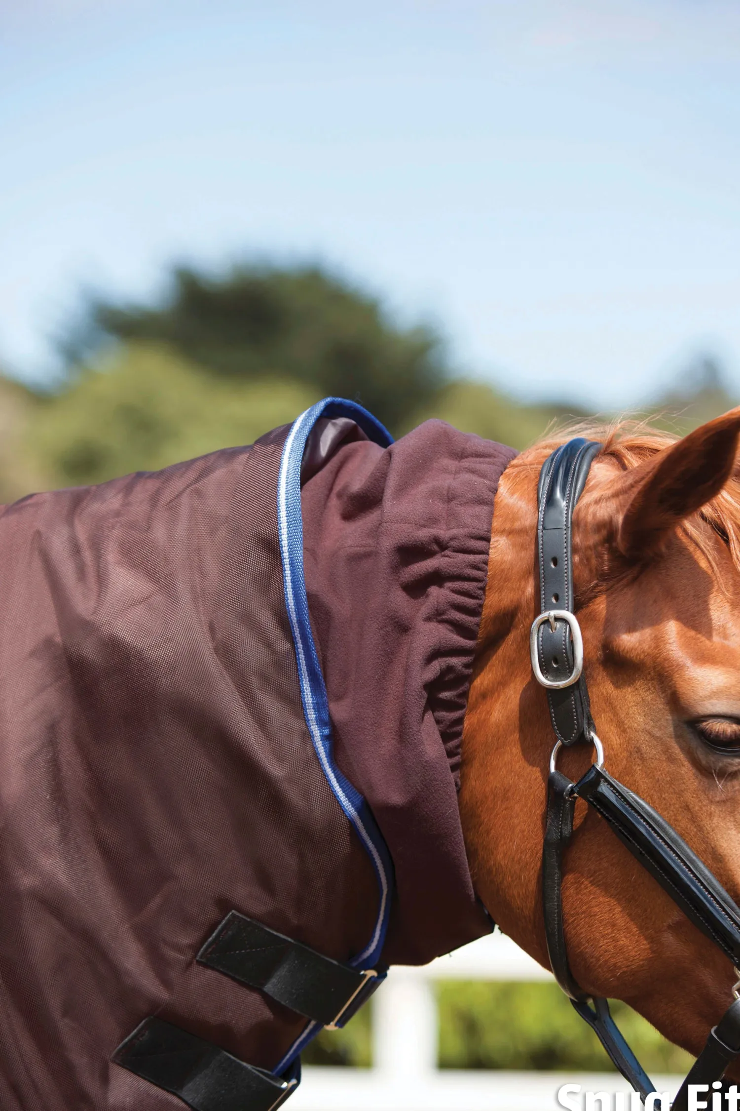 Best WEATHERBEETA ® ComFiTec™ Ultra Cozi II Detach-A-Neck Medium-Weight Turnout Blanket Charcoal/Blue/White
