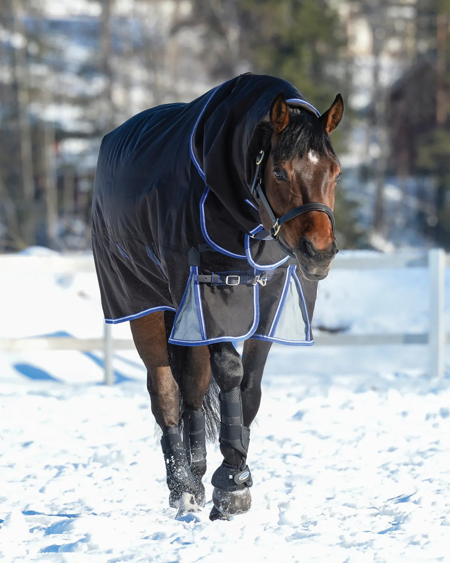 Best WEATHERBEETA ® ComFiTec™ Ultra Cozi II Detach-A-Neck Medium-Weight Turnout Blanket Charcoal/Blue/White