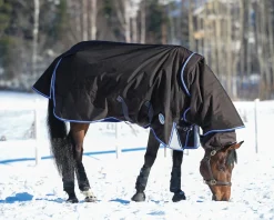 Best WEATHERBEETA ® ComFiTec™ Ultra Cozi II Detach-A-Neck Medium-Weight Turnout Blanket Charcoal/Blue/White