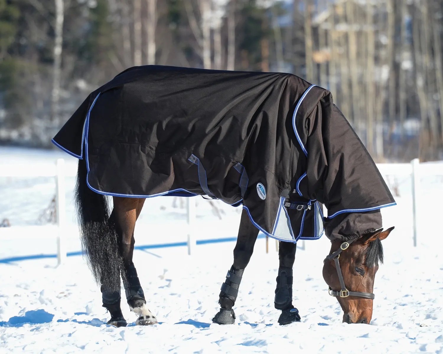 Best WEATHERBEETA ® ComFiTec™ Ultra Cozi II Detach-A-Neck Medium-Weight Turnout Blanket Charcoal/Blue/White