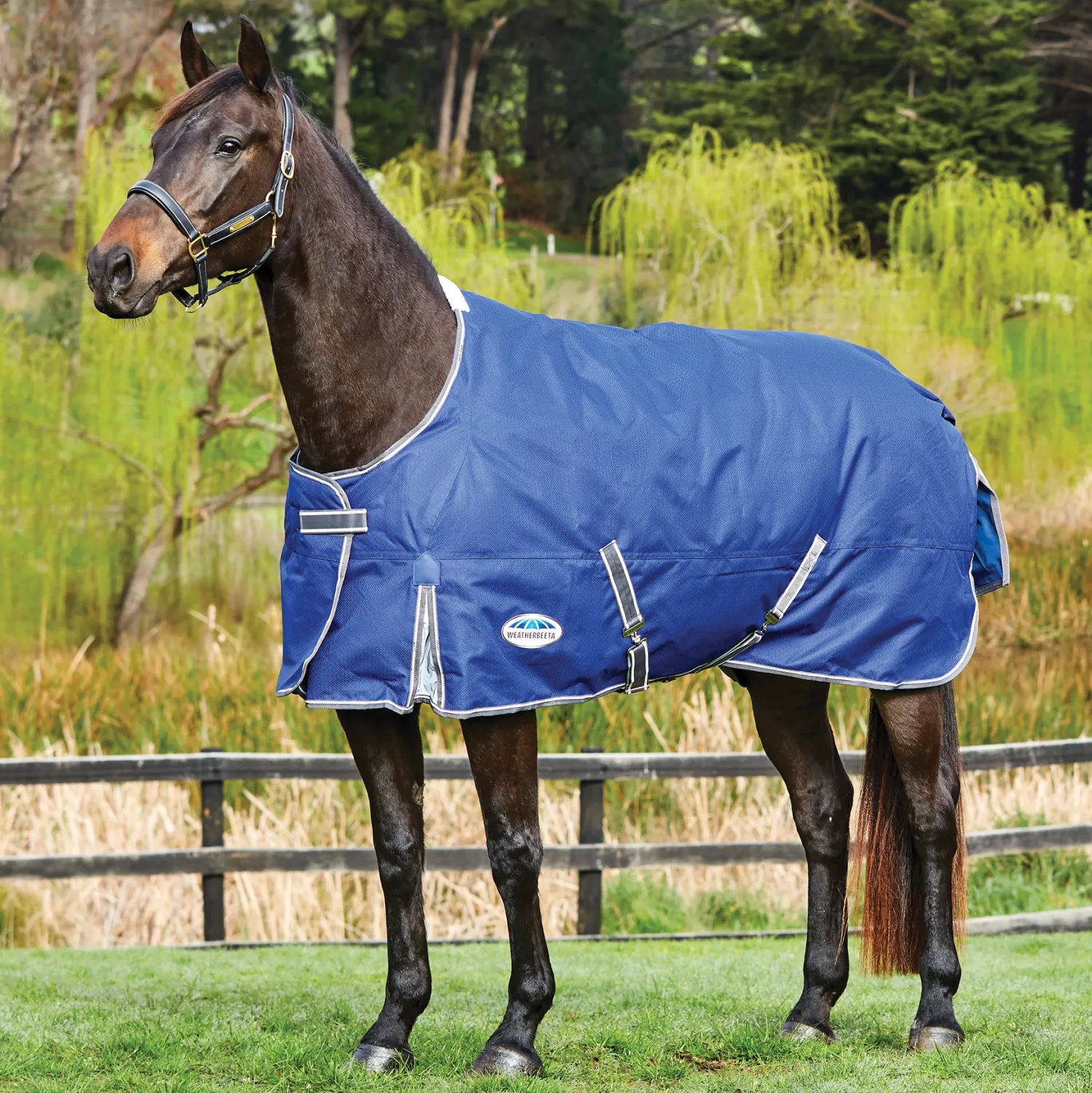 Outlet WEATHERBEETA ® Free Standard Neck Turnout Sheet