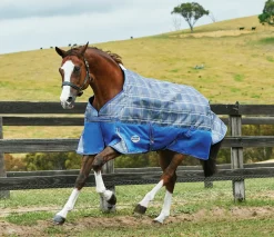 Outlet WEATHERBEETA ® Free Standard Neck Turnout Sheet