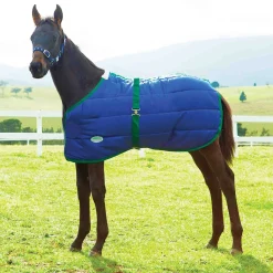 Best WEATHERBEETA ® Growing Foal 420D Standard Neck Medium-Weight Blanket Navy/Hunter