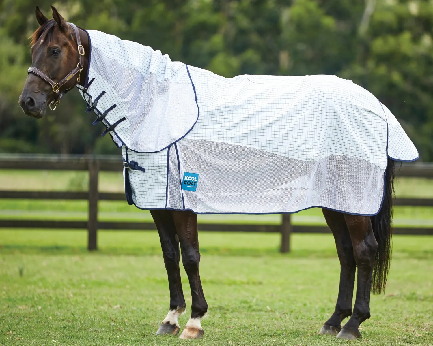 Discount WEATHERBEETA ® Kool Coat Airstream III with Detach-A-Neck & Hidden Surcingle White/Navy