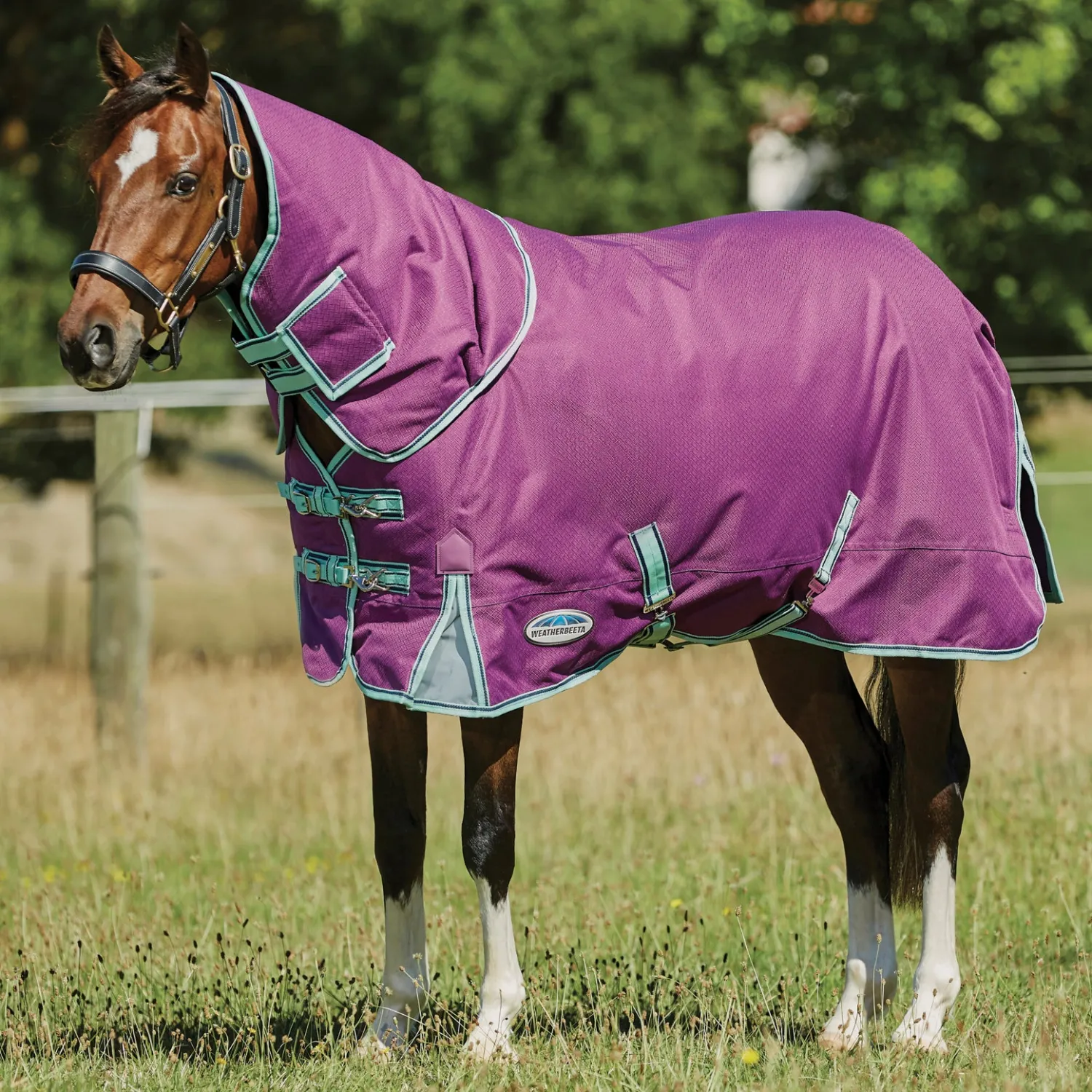 Hot WEATHERBEETA ® Pony ComFiTec™ Premier Free II Detach-A-Neck Medium-Weight Turnout Blanket Purple/Navy/Mint