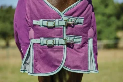 Hot WEATHERBEETA ® Pony ComFiTec™ Premier Free II Detach-A-Neck Medium-Weight Turnout Blanket Purple/Navy/Mint
