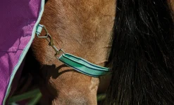 Hot WEATHERBEETA ® Pony ComFiTec™ Premier Free II Detach-A-Neck Medium-Weight Turnout Blanket Purple/Navy/Mint