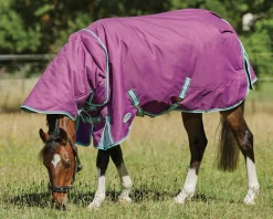 Hot WEATHERBEETA ® Pony ComFiTec™ Premier Free II Detach-A-Neck Medium-Weight Turnout Blanket Purple/Navy/Mint