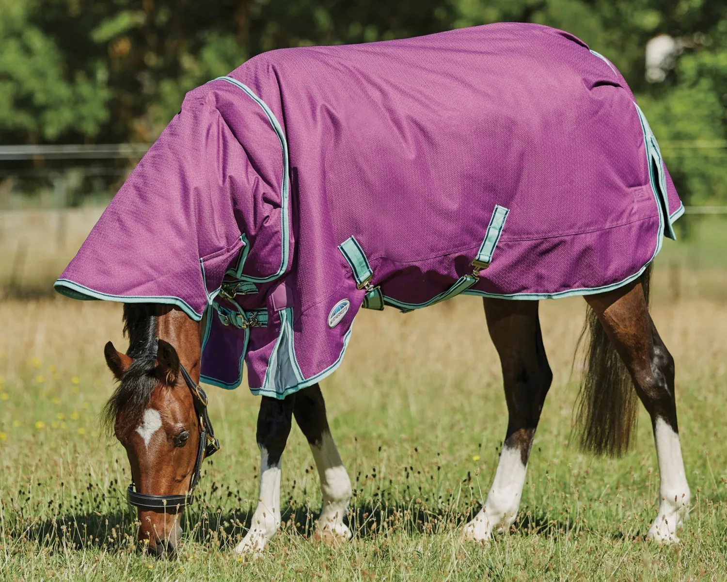 Hot WEATHERBEETA ® Pony ComFiTec™ Premier Free II Detach-A-Neck Medium-Weight Turnout Blanket Purple/Navy/Mint