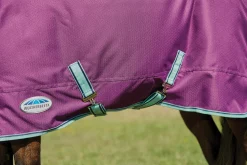 Hot WEATHERBEETA ® Pony ComFiTec™ Premier Free II Detach-A-Neck Medium-Weight Turnout Blanket Purple/Navy/Mint